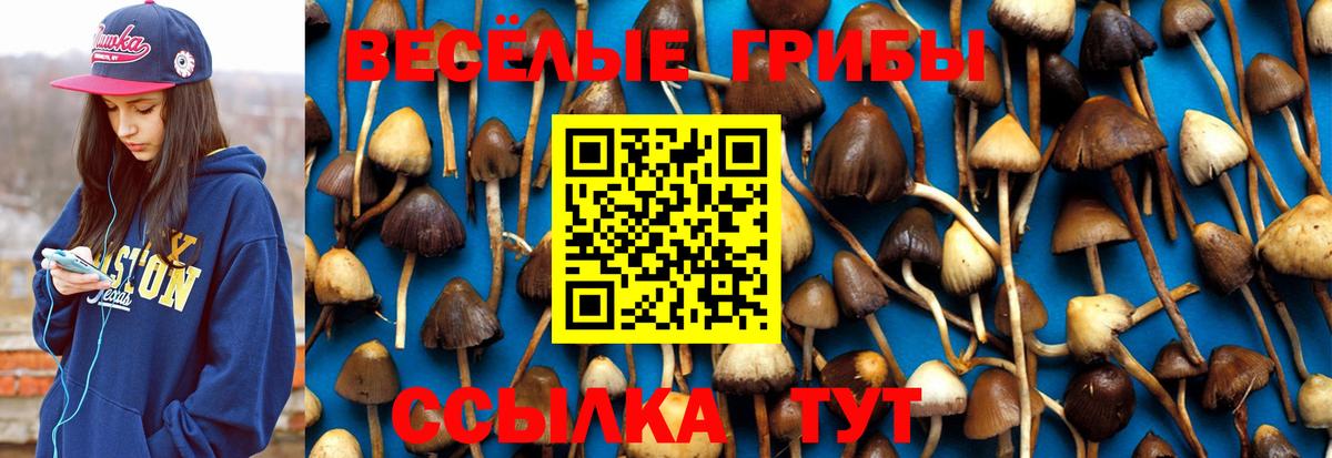 Псилоцибиновые грибы мухоморы  Вход с VPN  Азов 
